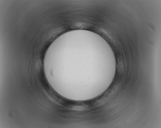 X0000113890459200910221420