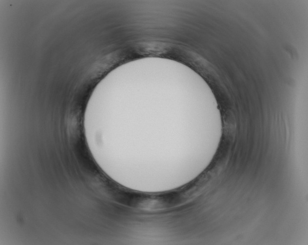 X0000113890460200910221420