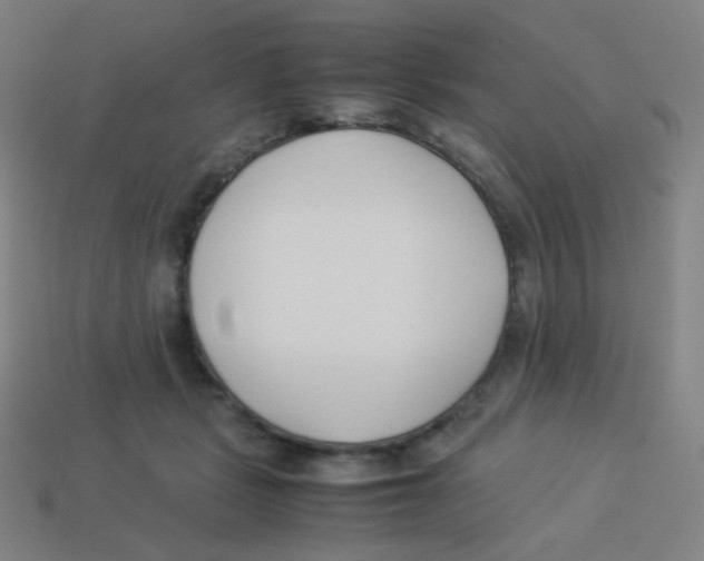 X0000113890461200910221420