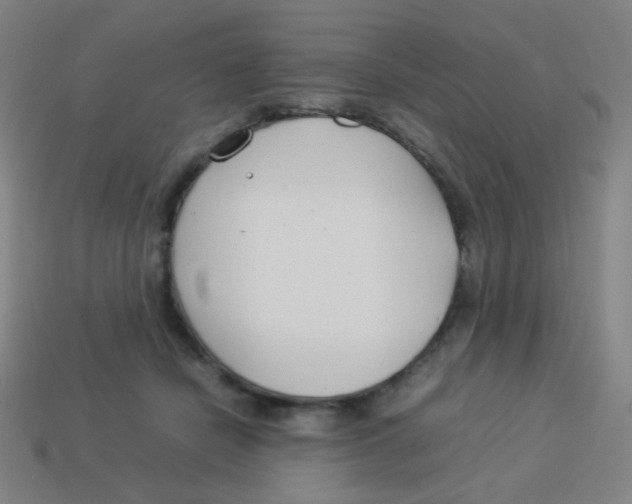 X0000113890462200910221420