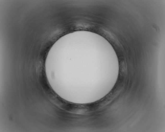 X0000113890463200910221420