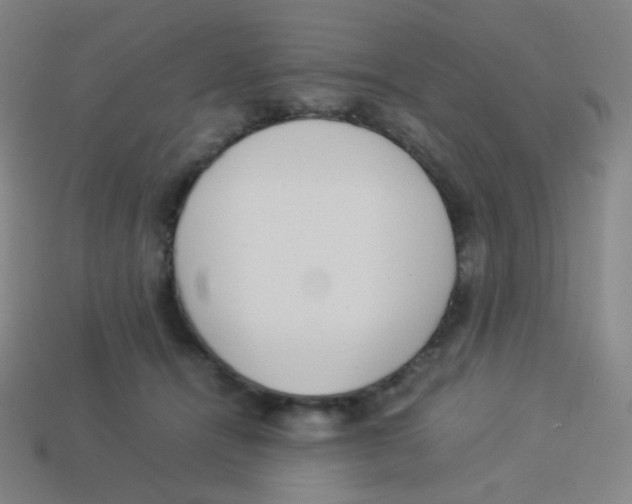 X0000113890464200910221420