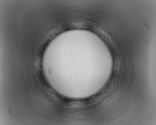 X0000113890465200910221420