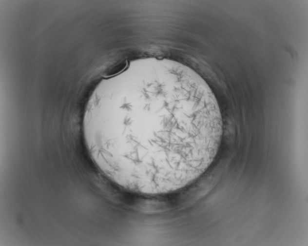 X0000113890466200910221420