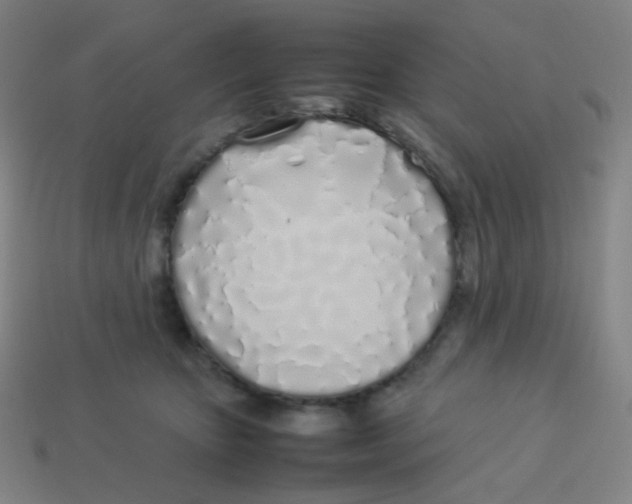 X0000113890467200910221420