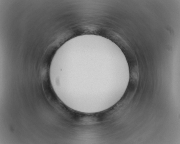 X0000113890468200910221420
