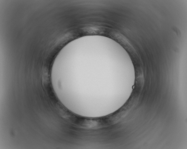 X0000113890469200910221420