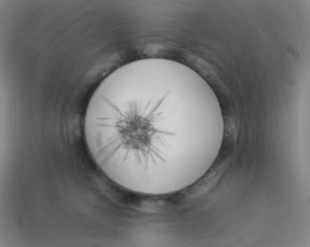 X0000113890470200910221420
