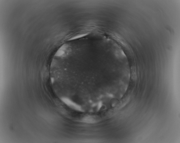 X0000113890471200910221420