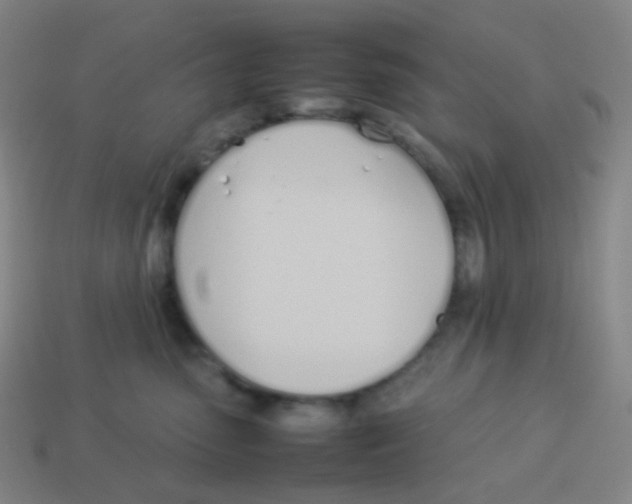 X0000113890475200910221420