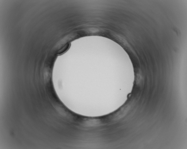 X0000113890476200910221420