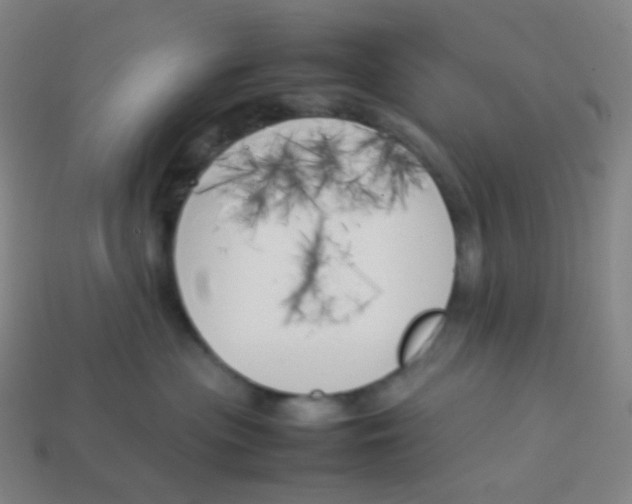 X0000113890477200910221420