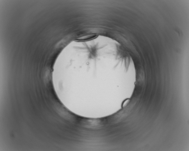 X0000113890478200910221420