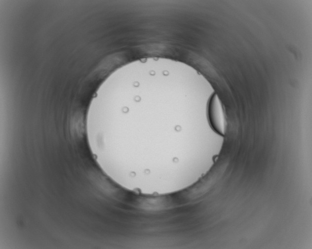 X0000113890479200910221420