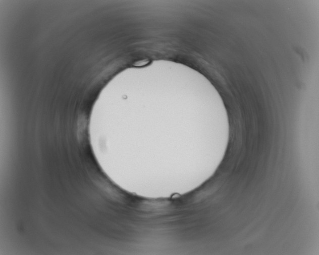 X0000113890480200910221421