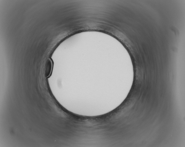 X0000113890481200910221420