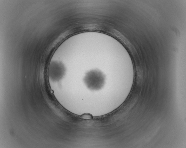 X0000113890482200910221420