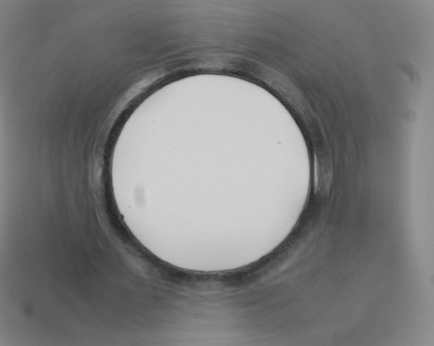 X0000113890483200910221420
