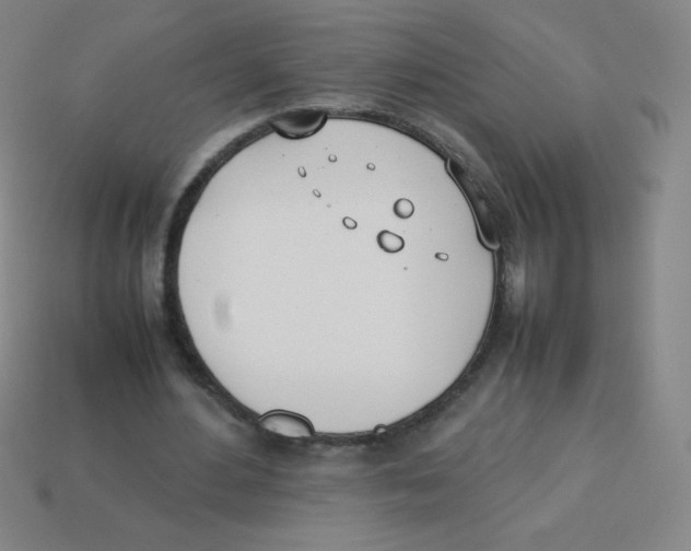 X0000113890484200910221420