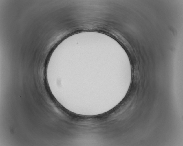 X0000113890485200910221420