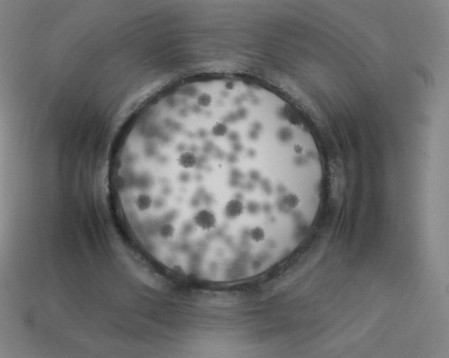X0000113890486200910221420