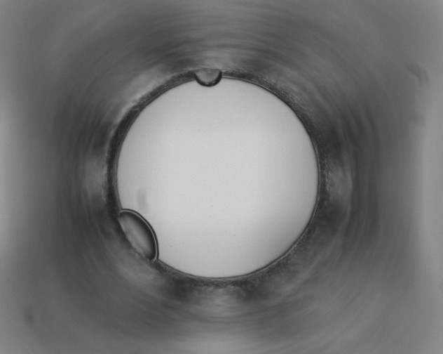 X0000113890488200910221420