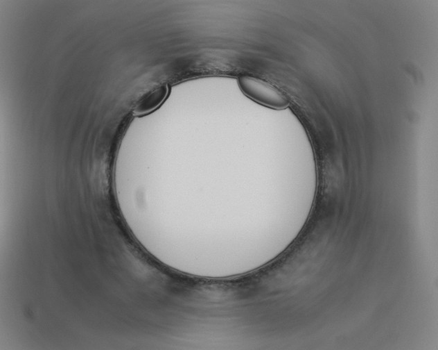 X0000113890489200910221420