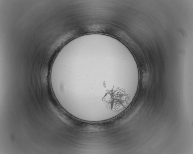 X0000113890490200910221420