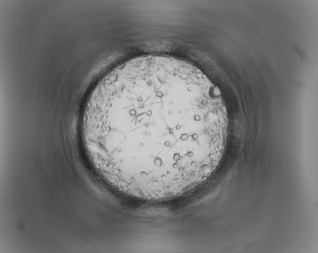 X0000113890491200910221420