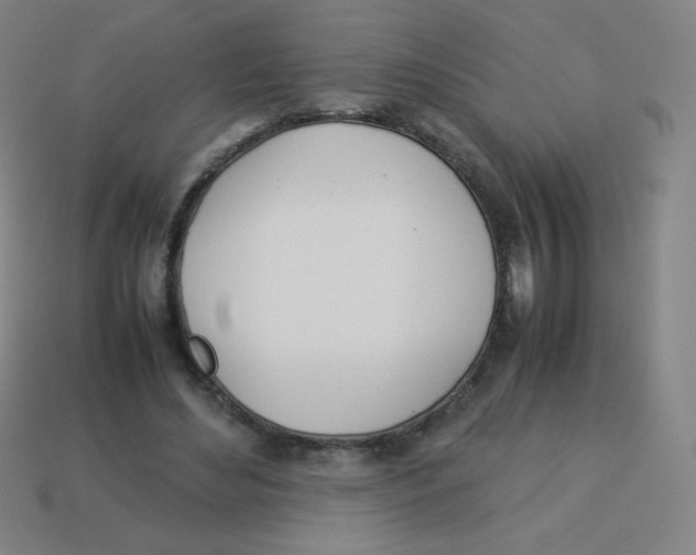 X0000113890492200910221420