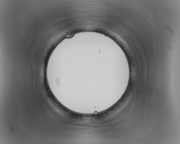 X0000113890493200910221420