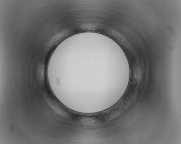 X0000113890494200910221420
