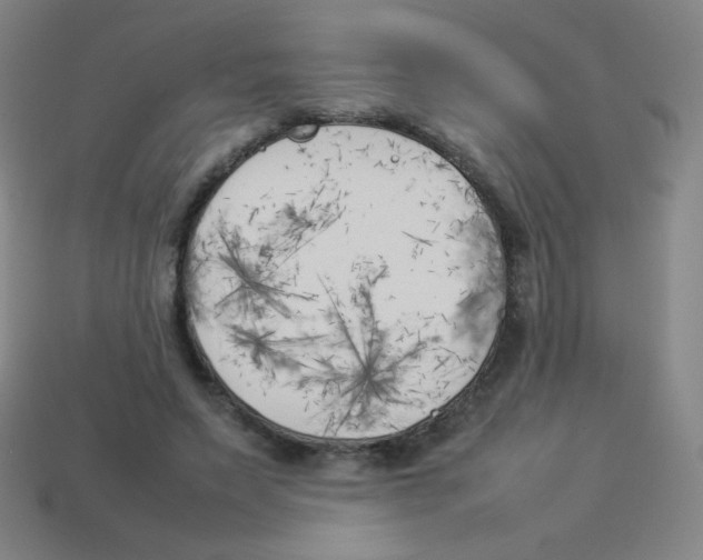 X0000113890495200910221420