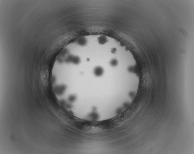 X0000113890498200910221420