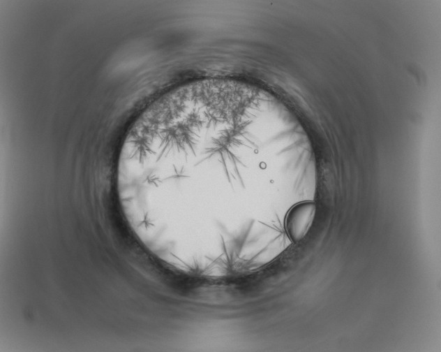 X0000113890499200910221420