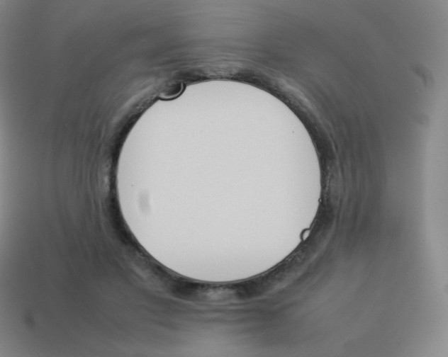 X0000113890501200910221420