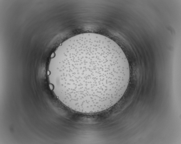 X0000113890502200910221420