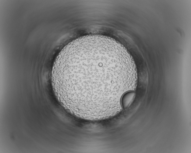 X0000113890503200910221420