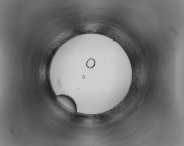 X0000113890504200910221420
