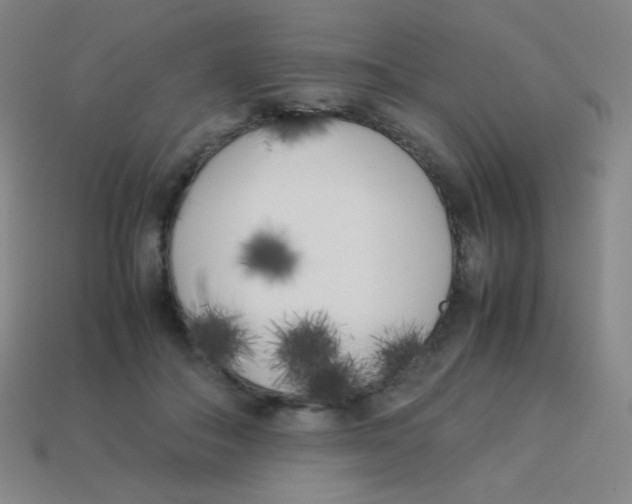 X0000113890506200910221420