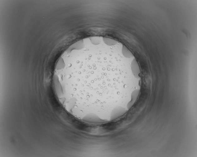 X0000113890507200910221420