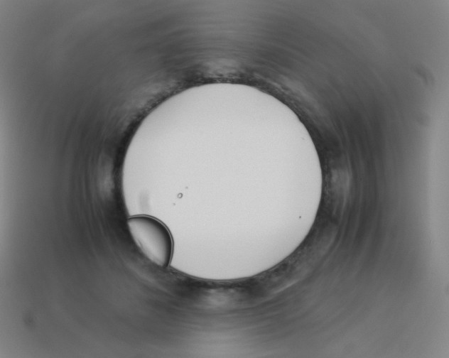 X0000113890508200910221420