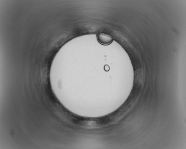 X0000113890509200910221420