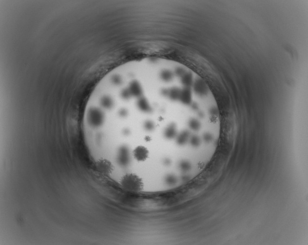 X0000113890510200910221420