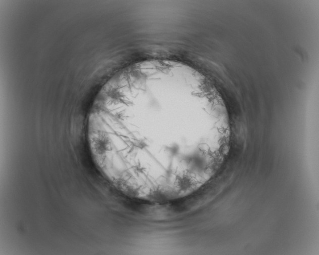 X0000113890511200910221420