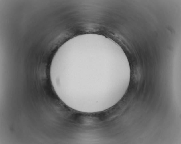 X0000113890512200910221419