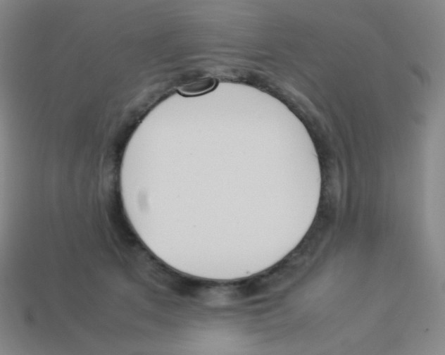 X0000113890513200910221419