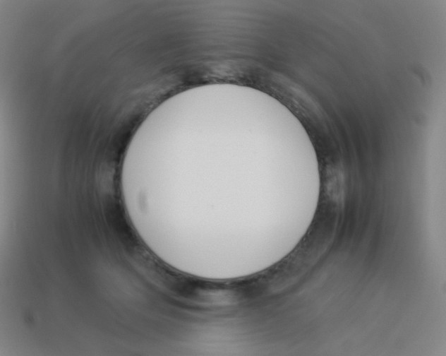 X0000113890514200910221419