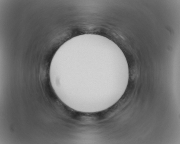 X0000113890515200910221419