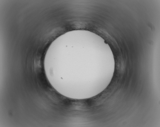 X0000113890516200910221419